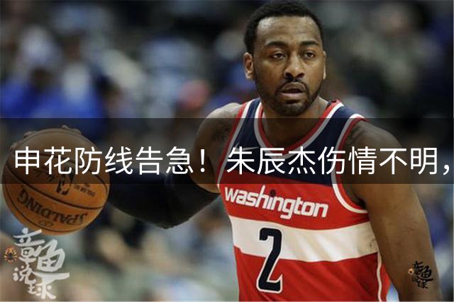 申花防线告急！朱辰杰伤情不明，斯卢茨基面临后卫荒
